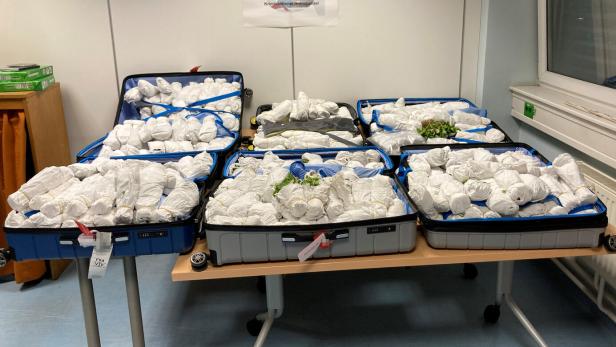 ++ HANDOUT ++ FLUGHAFEN WIEN: 120 KILO KHAT SICHERGESTELLT
