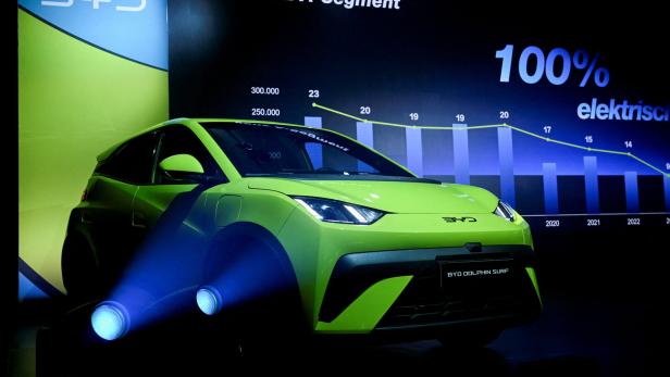 FILE PHOTO: BYD Dolphin Surf electric vehicle presentation in Berlin