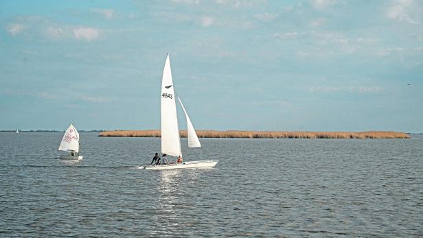 Neusiedler See trotzt der Hitze, Seewinkler Lacken unter Druck