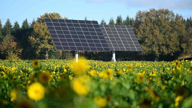 FRANCE-ENERGY-ELECTRICITY-SUN-TRACKER