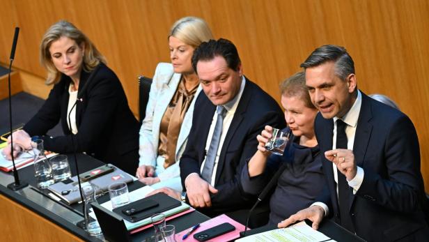 NATIONALRAT-SONDERSITZUNG MIT REGIERUNGSERKLÄRUNG:  HATTMANNSDORFER (ÖVP)