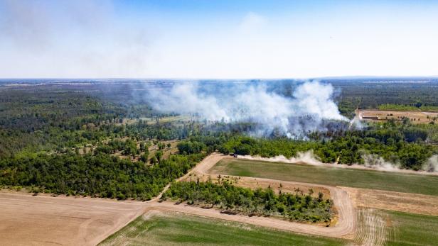 Waldbrand in der Gohrischheide