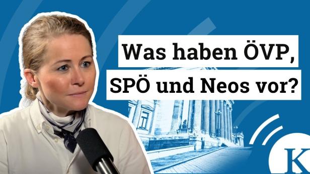 Dreierkoalition: Populisten, Pragmatiker und "pinkes Frühwarnsystem"