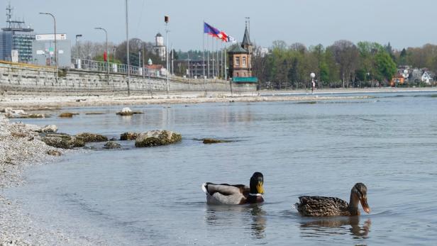 Low water level of Lake Constance (Bodensee) in Constance
