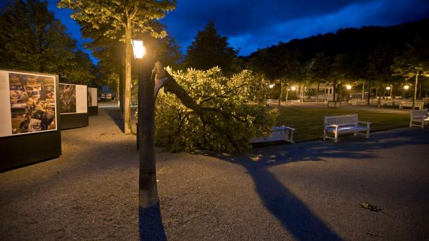 Umgestürzte Bäume in Park