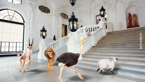 Tiere bewegen sich im Museum Belvedere.
