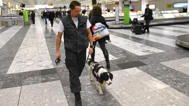 Österreichs erfolgreichster Geldschnüffler