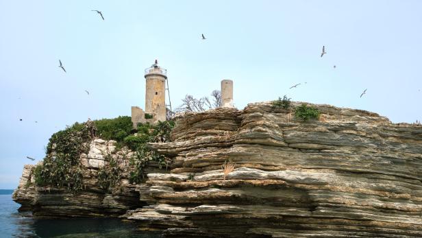 Ein Leuchtturm steht auf einer felsigen Insel, umgeben von Möwen.