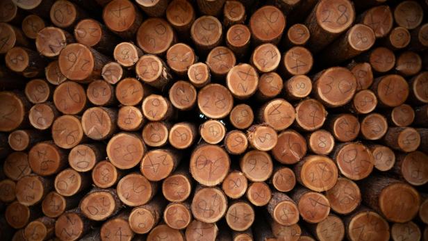 Symbolbild Holz  Gestapelte Baumstämme mit aufgemalten Zahlen.
