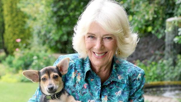 Königin Camilla mit ihrem Vierbeiner "Moley"