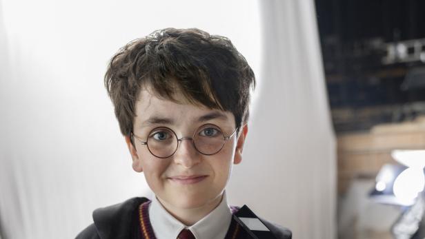 Dominic McLaughlin als Harry Potter
