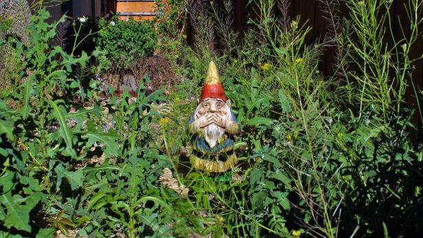 Gnome Disgusted by Overgrown Yard