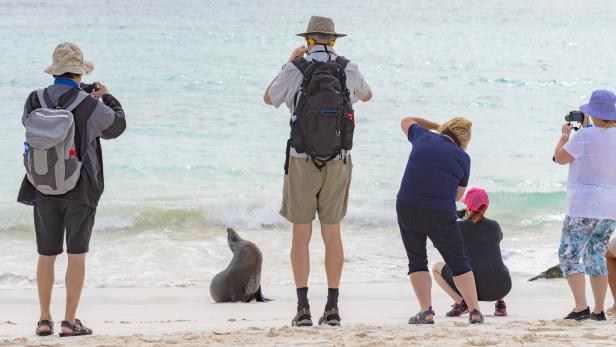 Touristen fotografieren einen Seelöwen.