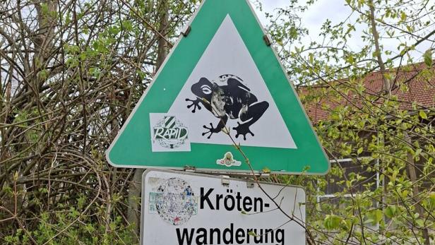 Rapid, Rapid: Es geht längst nicht mehr um ein paar Kröten.