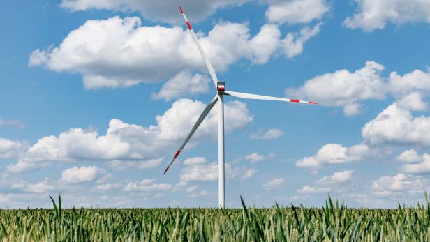Windkraft in Schleswig-Holstein
