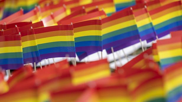 Viele kleine Regenbogenfahnen sind dicht an dicht aufgereiht.