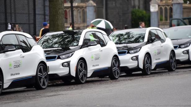 Eine Reihe weißer BMW i3 Elektroautos mit „Trees Count“ Aufdruck parken am Straßenrand.