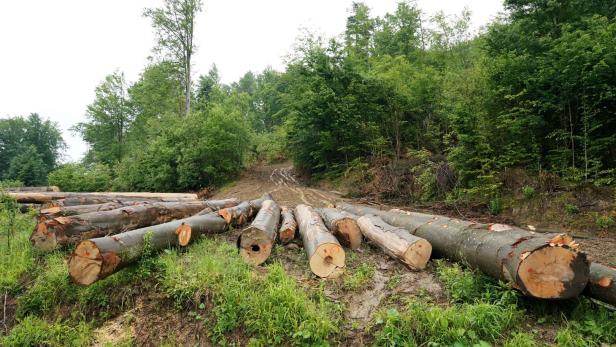POLAND-ROMANIA-ENVIRONMENT-FORETS-MOUNTAINS-CLIMATE