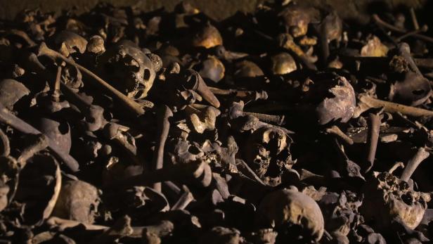 46-195497685 Katakomben im Wiener Stephansdom