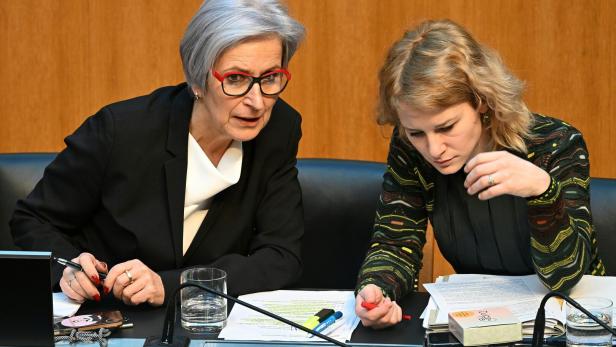 NATIONALRAT-SONDERSITZUNG MIT REGIERUNGSERKLÄRUNG:  SPORRER (SPÖ) / HOLZLEITNER (SPÖ)