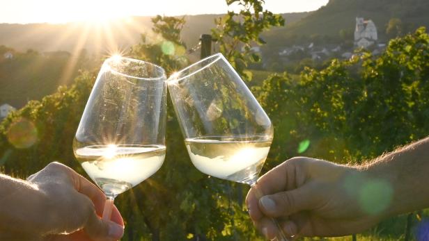 Gefüllte Weingläser, die anstoßen, vor der Kulisse der Weinberge.