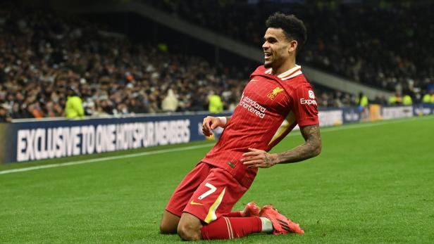 Luis Díaz jubelt auf dem Rasen im Trikot des FC Liverpool.