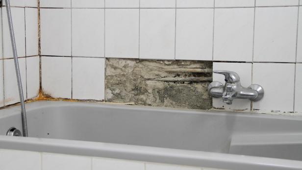 An old bathroom with broken white tiles and mold