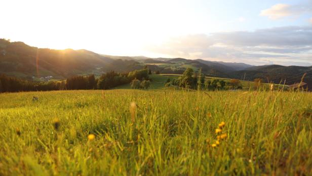 Hügelige Landschaft im Mühlviertel