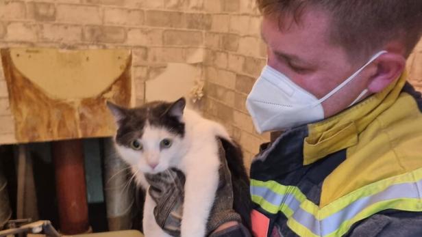 Feuerwehrmann hält Katze