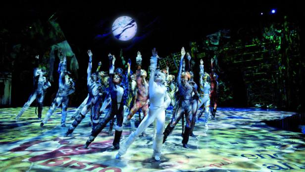 Die Rückkehr der Katzen