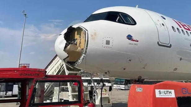 Ein Vogel traf eine Iberia-Maschine