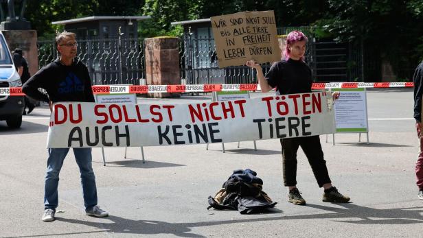 Debatte über Pavian-Tötung - Tiergarten ein Tag geschlossen Debatte über Pavian-Tötung - Tiergarten ein Tag geschlossen