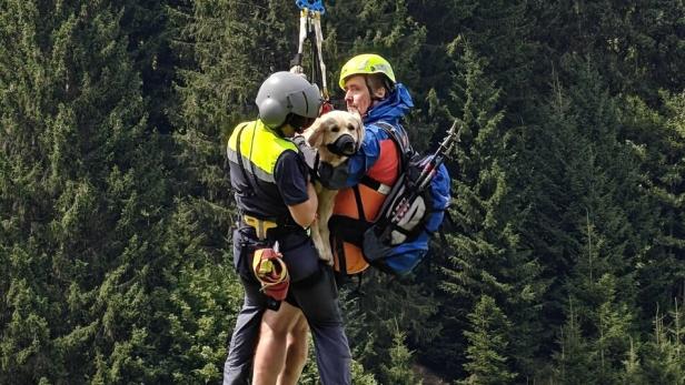 Verletzter Hund mit Hubschrauber gerettet