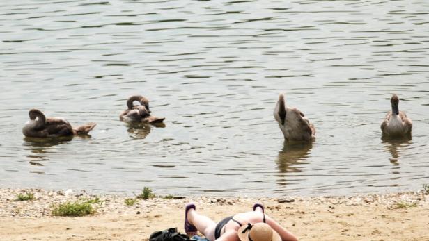 ++ THEMENBILD ++ WETTER / HITZE/ SOMMER