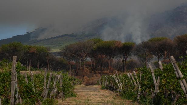 Wildfire breaks out on Mount Vesuvius in Naples