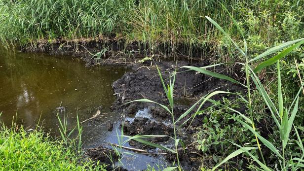 Moorfeld der Kurbad AG Bad Tatzmannsdorf bei Oberwart