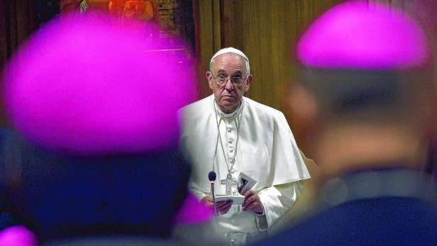 Papst Franziskus ist mit massivem internen Widerstand konfrontiert, aber, so Feichtlbauer, „er muss den Augiasstall ausmisten, kein Stein darf auf dem anderen bleiben“