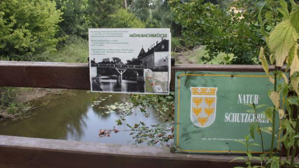 Informationstafeln über die Mühlbachbrücke und ein Naturschutzgebiet an einem Fluss.