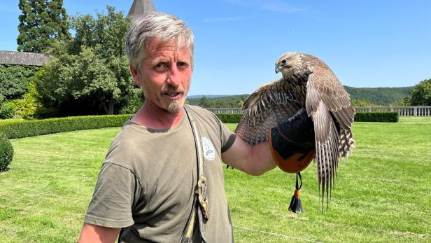Valdimir Garaj hält einen Falken in seiner Hand und steht auf einer grünen Wiese.