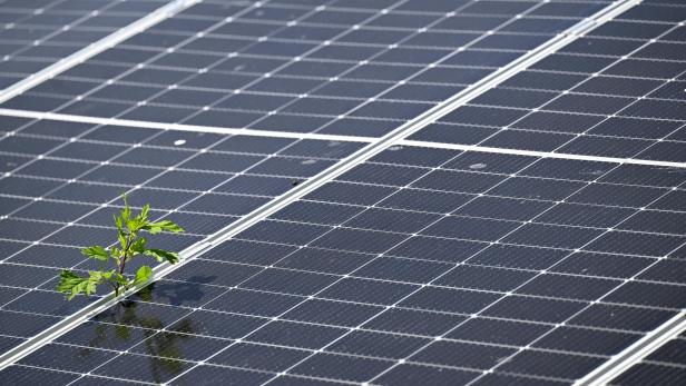 ++ THEMENBILD ++ PHOTOVOLTAIK / SOLAR / ENERGIE / STROM / ELEKTRIZITÄT / UMWELT / GRÜNE ENERGIE: PHOTOVOLTAIK-FREIFLÄCHENANLAGE