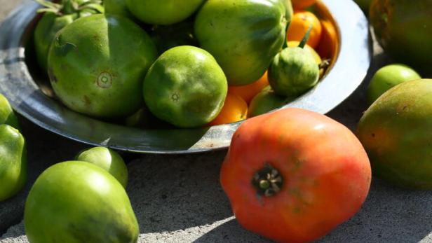 Grüne und rote Tomaten liegen auf einer Betonfläche.