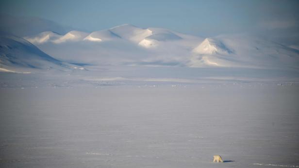 NORWAY-ENVIRONMENT-CLIMATE-RESEARCH-ANIMAL