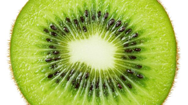 Eine Scheibe Kiwi, isoliert auf Weiß.