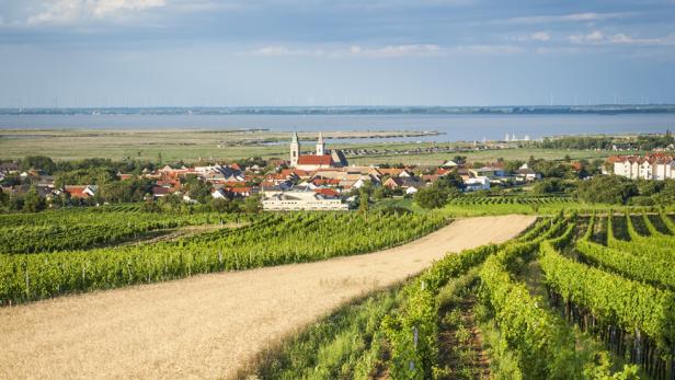 Blick von den Weinbergen auf Einfamilienhäuser vor dem Neusiedler See