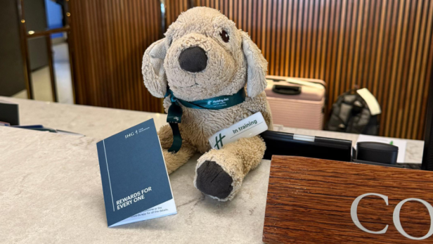 Plüschhund Jack posiert am Empfangstisch des Hotels