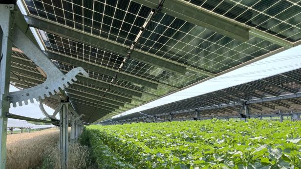 Photovoltaik-Paneele, die Fläche darunter wird agrarisch genutzt