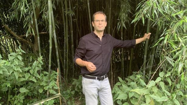 Wolfgang Spitzmüller steht vor Bambuspflanzen in einem Wald in Südostösterreich