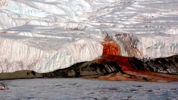 Blut-Gletscher: Was hat es mit den Blood Falls auf sich?