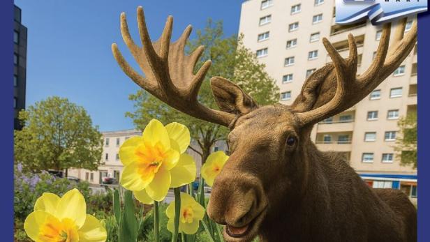 Elch in einem Blumenbeet in Oberwat, von KI generiert