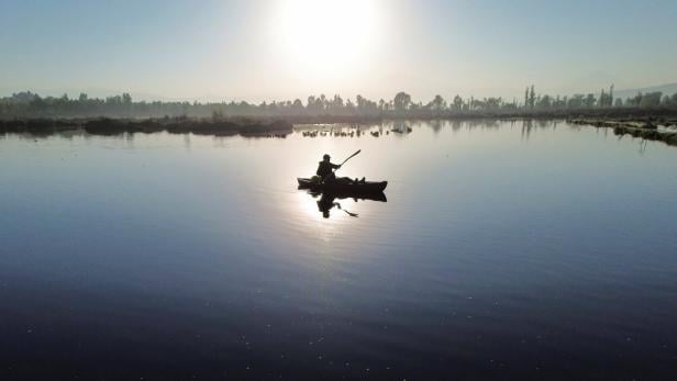 Mexico's heritage canals under threat: Activist fights for plastic-free waters